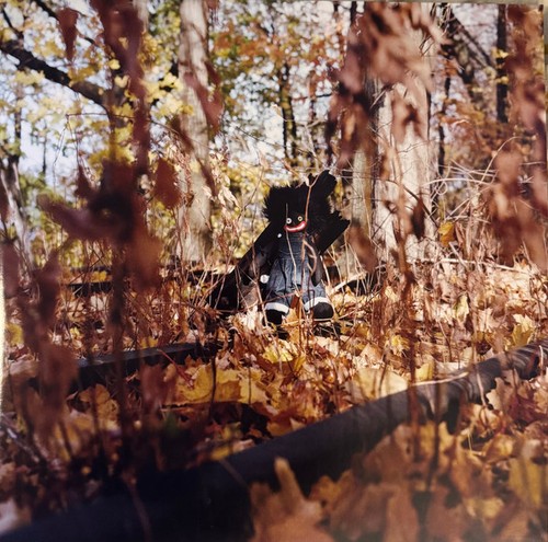 Billy woods golliwog - billy,
