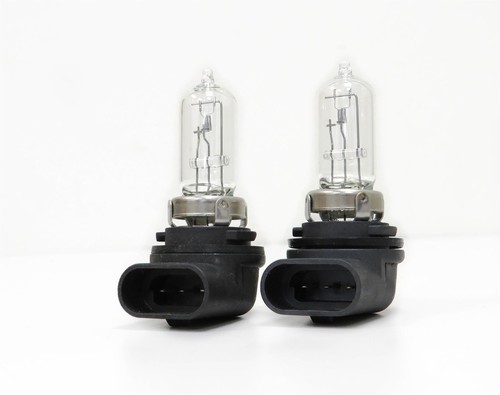 Head light bulb 12v - bulb,