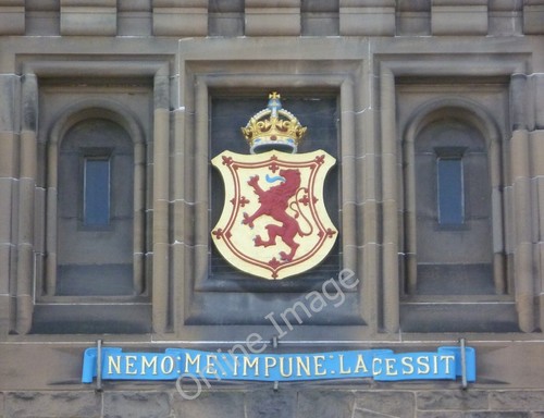 Photo 6x4 nemo impune - photo,