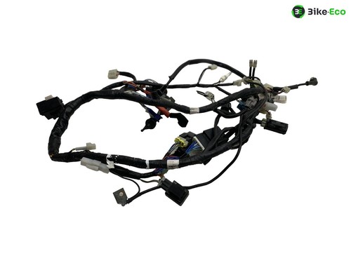 Electric harness yamaha - harness,