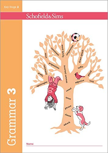 Grammar and punctuation book - punctuation,