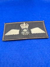 RCAF Flying 2017 - Pres Astronaut OD