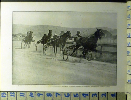 1920 carriage trotting - 1920, harness