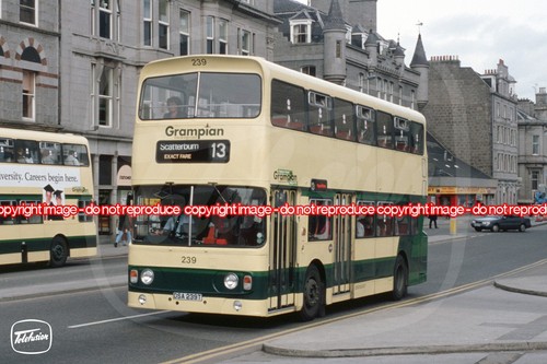 Bus photo grampian - -, 239