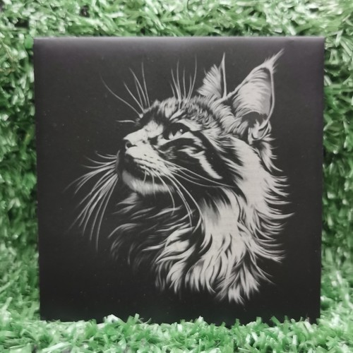 Slate coaster maine - slate, coon