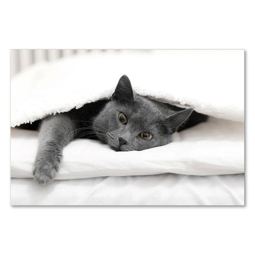 Postereck 1800 poster canvas - postereck,