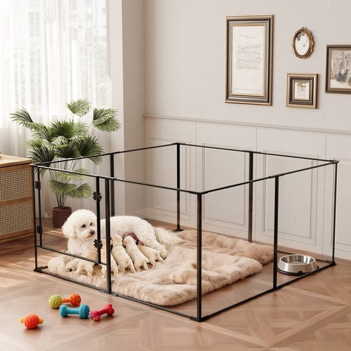 Large clear acrylic dog - large,