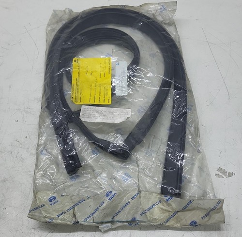 New windshield seal - seal, tata