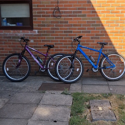 Apollo bikes phaze jewel - apollo, &