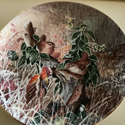 Wrens coalport bird collectors - wrens,