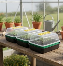3 Small Windowsill Propagator