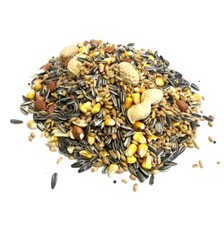  MIXED SQUIRREL AND CHIPMUNK