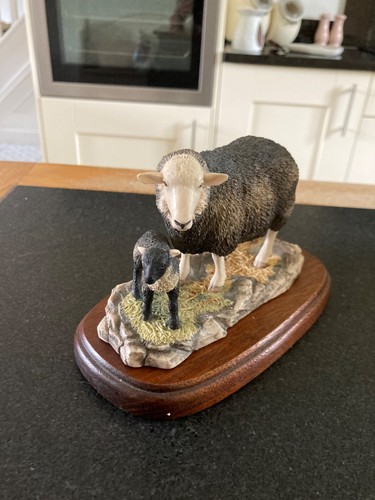 Border fine arts - herdwick, ewe