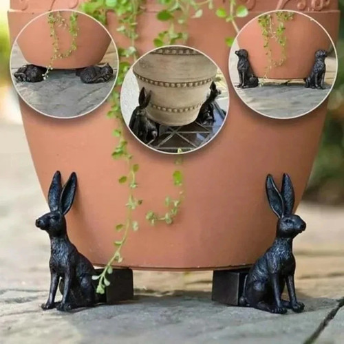 3pcs animal plant - 3pcs, feet