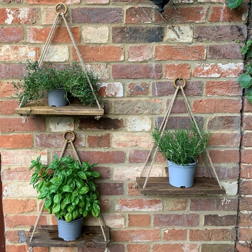 Set outdoor herb plant - set, of