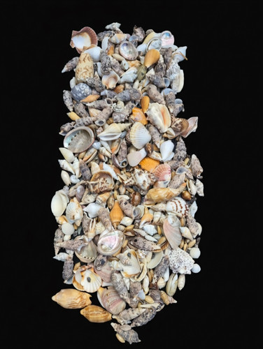 Approx 2kg mixed size - 2kg,