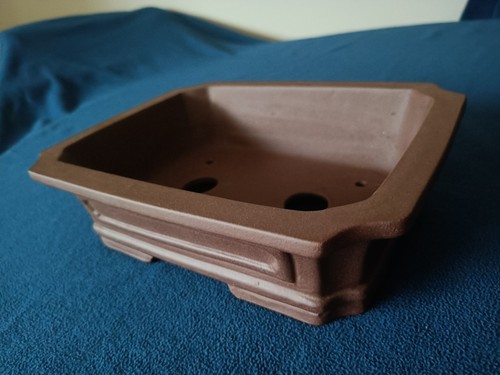 Value bonsai pots rectangular - pots,