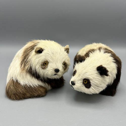 Panda artisan figures real - panda, x2