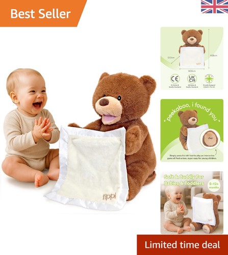 Adorable talking teddy bear - talking,