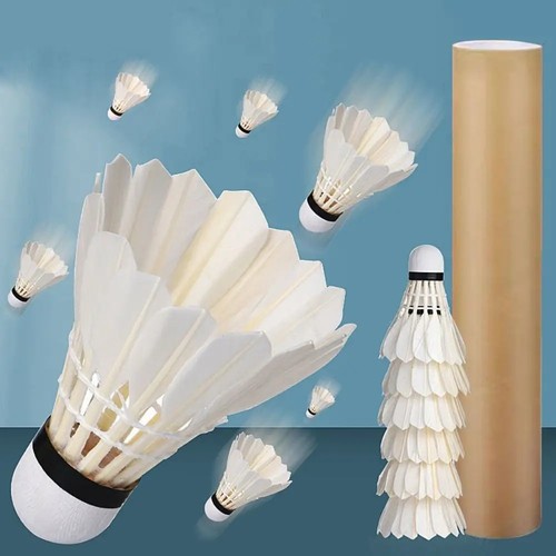 12pcs training goose feather - training,