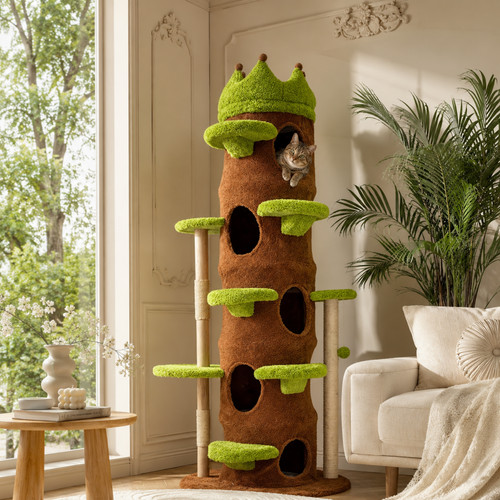 Heavy duty cute cat - cat, tree