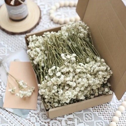 1box dried gypsophila stems - gypsophila,