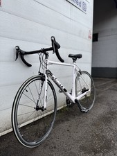 Plant x Carbon Fibre Custom