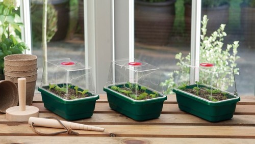 Mini high dome - high, propagator