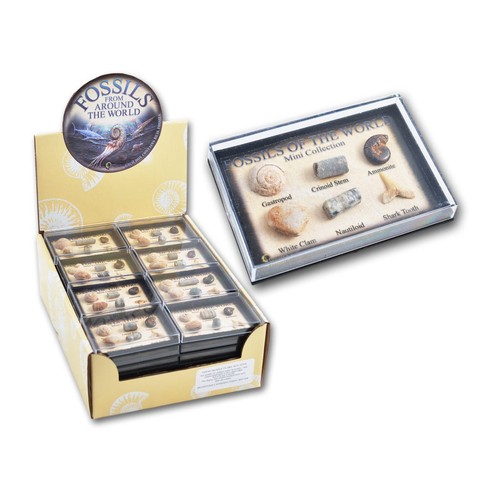 One fossil chart mini - chart,