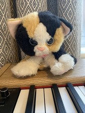 Kitty Kitty Kittens By DSI