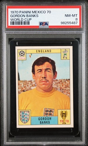 Panini world cup - world, mexico