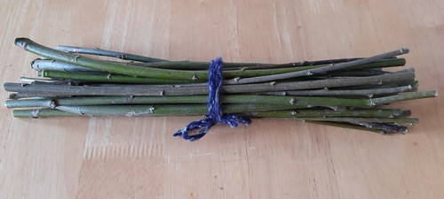 30cm living willow - living,