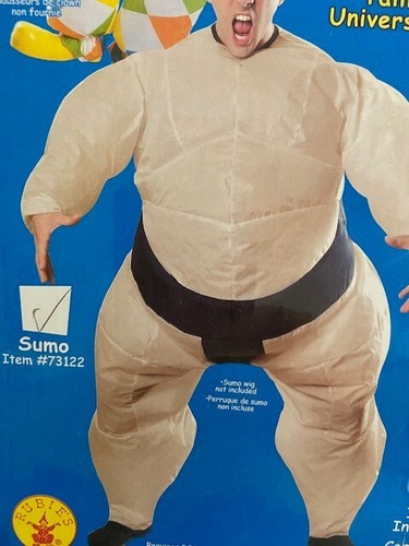 Two adult inflatable sumo - two,