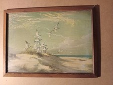 Vernon Ward Seagulls