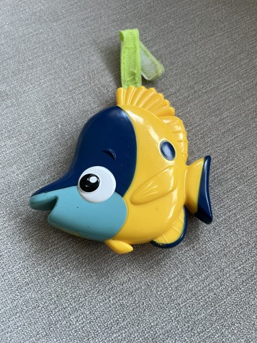 Bright starts finding - finding, nemo
