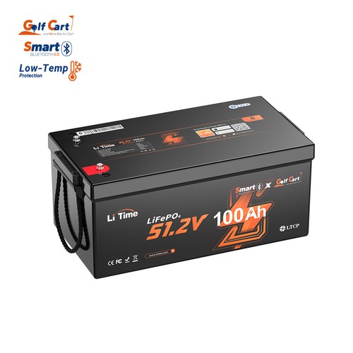 Litime 48v 100ah - 48v,