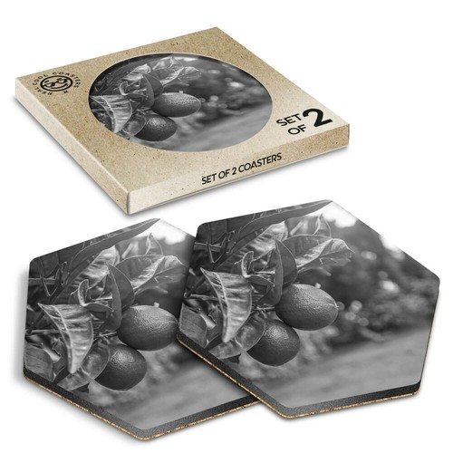 Hexagon coasters bw - hexagon,