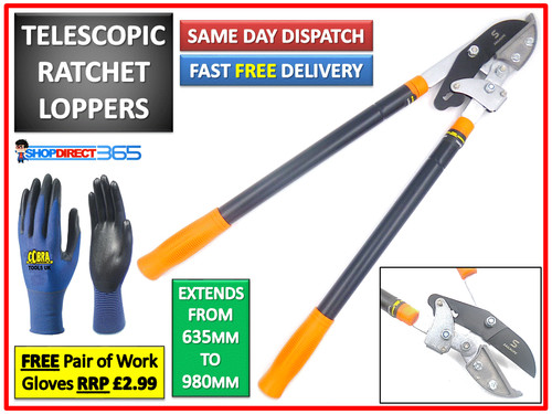 Telescopic tree lopper - tree,