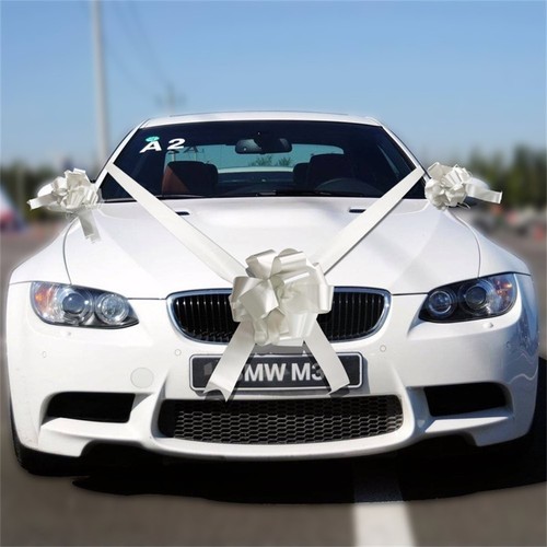 Wedding car decoration kit - decoration, 1