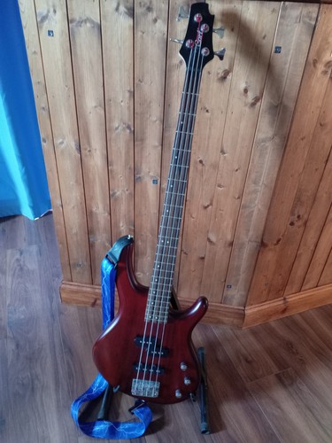Bass guitar cort - cort, action
