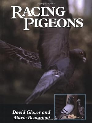 Racing pigeons glover - racing, pigeons,