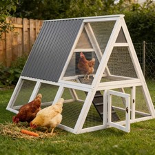 Large Weatherproof Triangular