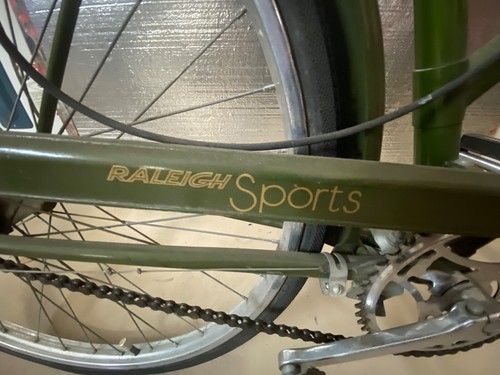 Raleigh woman sports - sports, 3