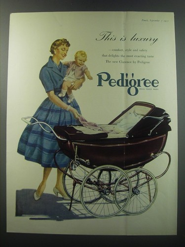 1955 pedigree clarence pram - pram, ad