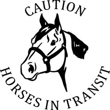 HorseBox, Horse Trailer Decal