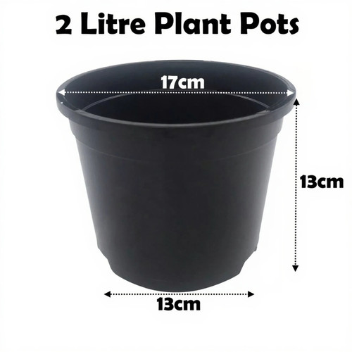 Litre black plant pots - 2,