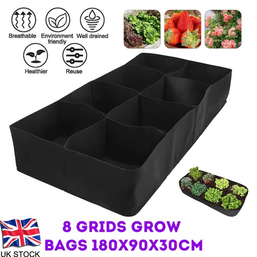 Large plant grow - plant, bags