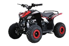 QUAD BIKE ELECTRIC 1500W 48V