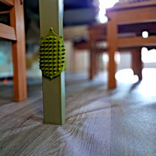 Hedgehog scratcher Cat