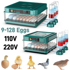Automatic Egg Incubator